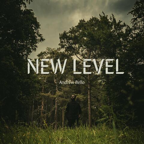 New Level