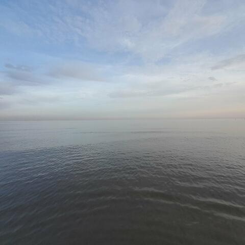 Wading Along The Shore