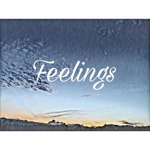 Feelings