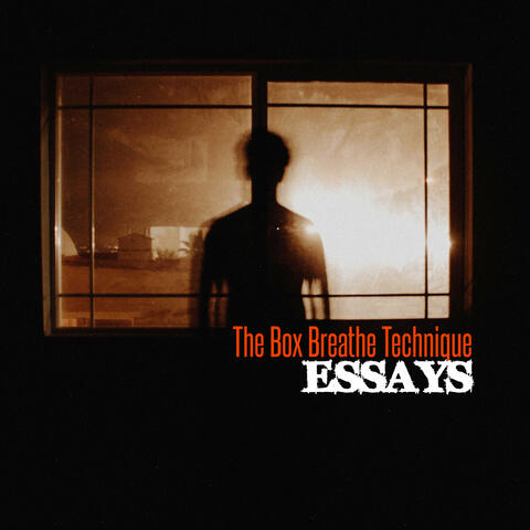 ESSAYS
