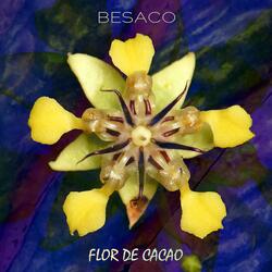 Flor de cacao