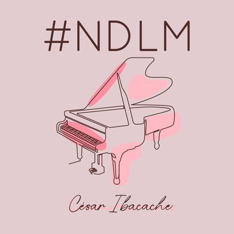 #NDLM