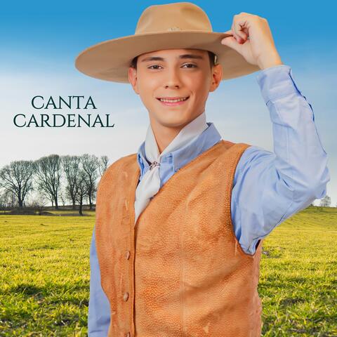 Canta Cardenal