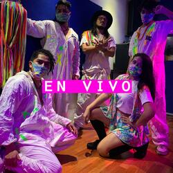 Picaflor Viajero