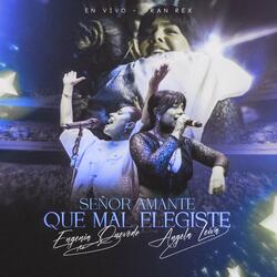 Señor Amante - Que Mal Elegiste