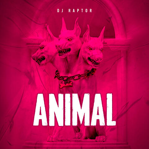 ANIMAL