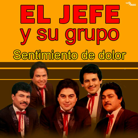 Sentimiento De Dolor