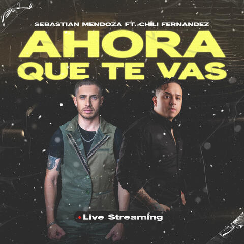Ahora Que Te Vas