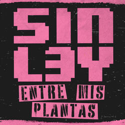 Entre Mis Plantas