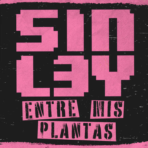 Entre Mis Plantas
