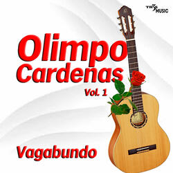 Osito de Felpa