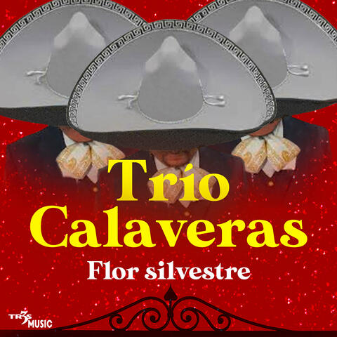 Flor Silvestre