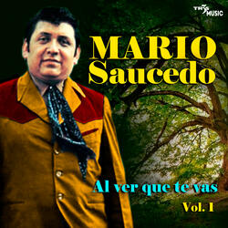 El solteron