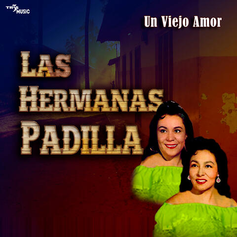 Un Viejo Amor 16 Grandes Exitos