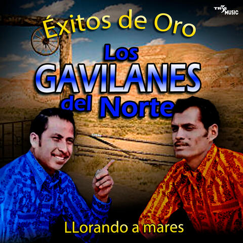 Llorando a Mares Exitos de Oro