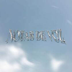 Notas De Voz