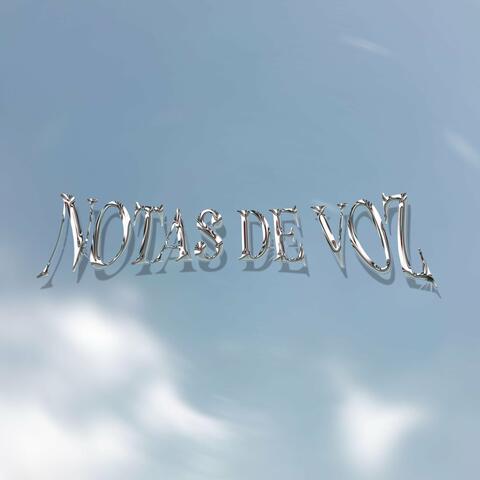Notas De Voz
