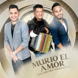 Murió El Amor