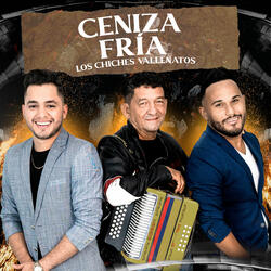 Ceniza Fría
