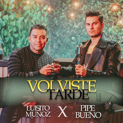 Volviste Tarde