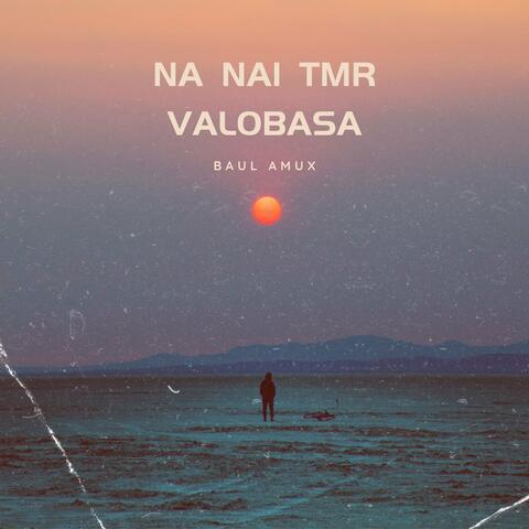 Na Nai Tmr Valobasa