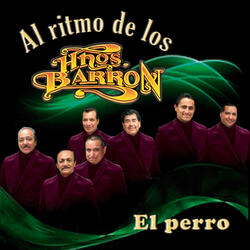 Que la vuelvan a tocar