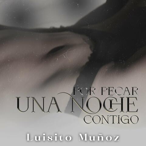 Por Pecar Una Noche Contigo