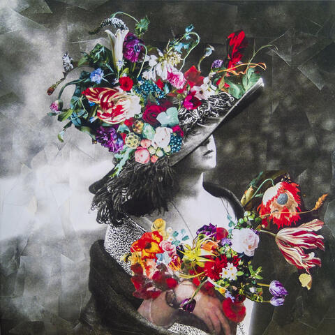 Drying Flowers