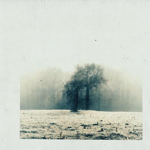 colder