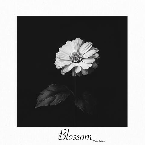 Blossom