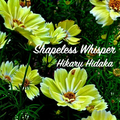 Shapeless Whisper