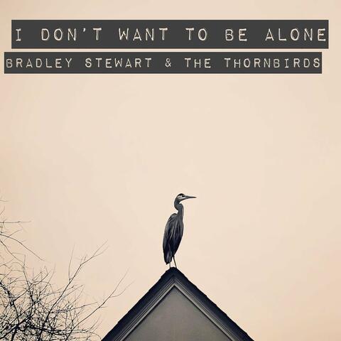 I Don't Want To Be Alone