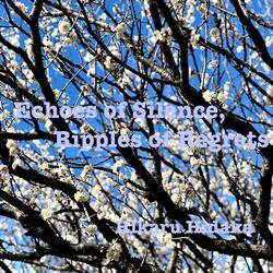 Echoes of Silence, Ripples of Regrets