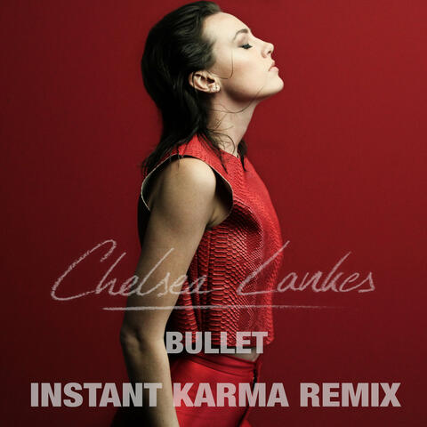 Bullet