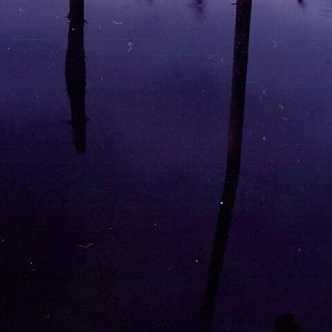 Ambient Selections