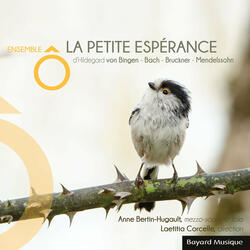 Spes (Antienne. Extrait de l'Ordo Virtutum)