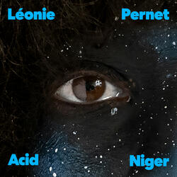 Acid Niger