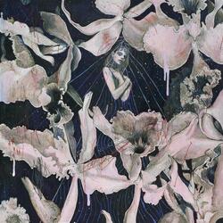 Who Killed the Birds?