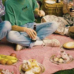 Picnic