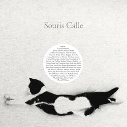 A Cat Called Souris