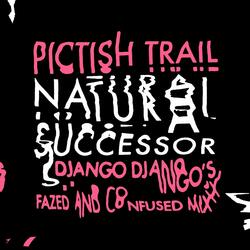 Natural Successor