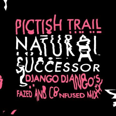 Natural Successor