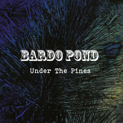 Under the Pines