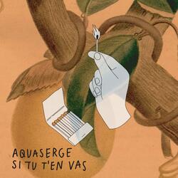 Si tu t'en vas