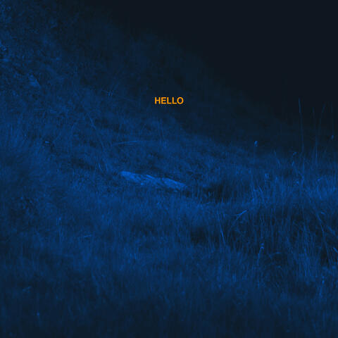 Hello