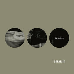 Assassin