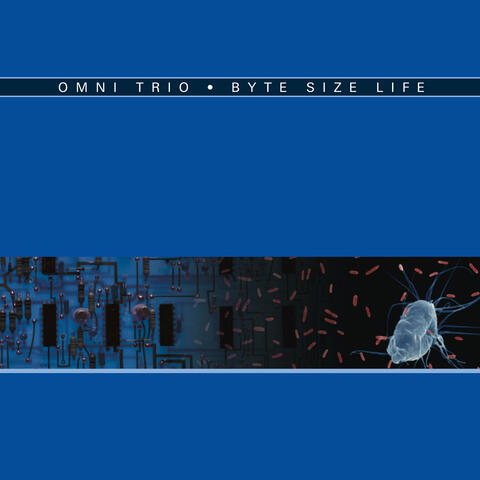 Byte Size Life