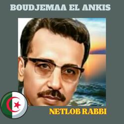 Netlob rabbi