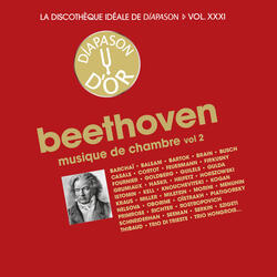 Serenade for Violin, Viola and Cello in D Major, Op. 8: IV. Allegretto alla polacca