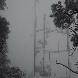 Prelude in MHz